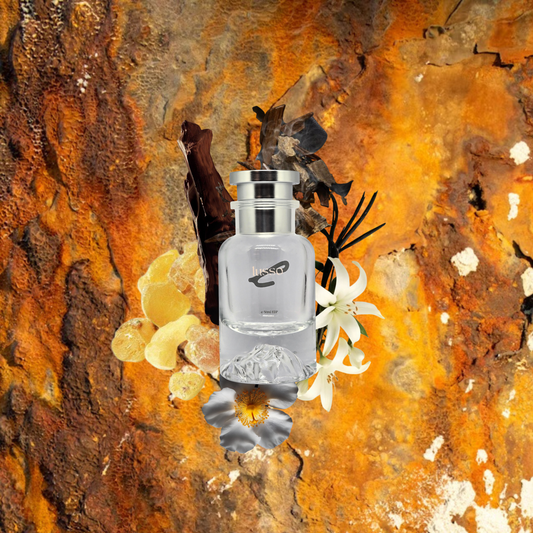 Certified Seducer Inspired By Tomford Amber Absolute