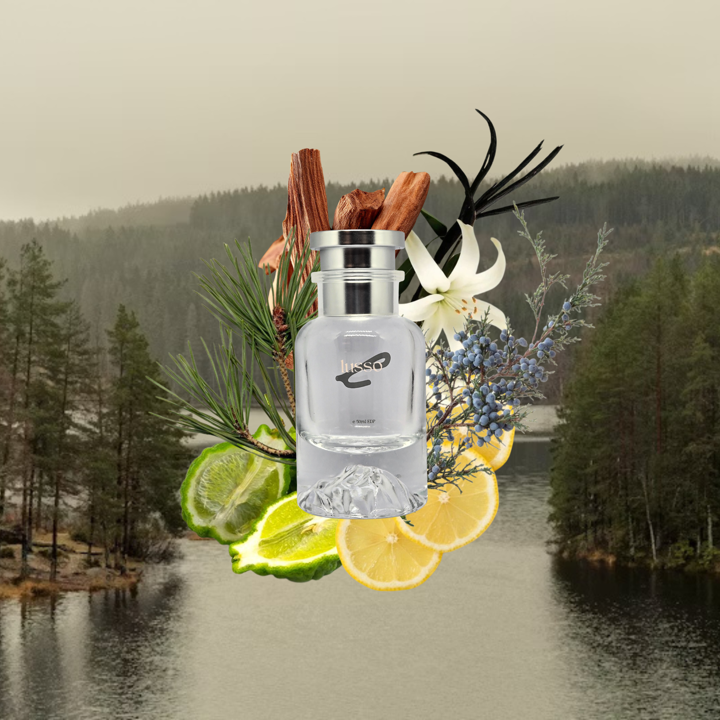 Caught You Staring Inspired By Byredo Gypsy Water