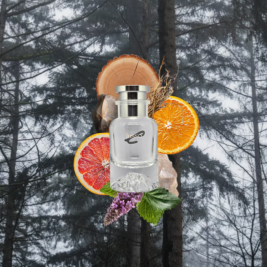 Beyond You Inspired By Hermès Terre D'Hermès