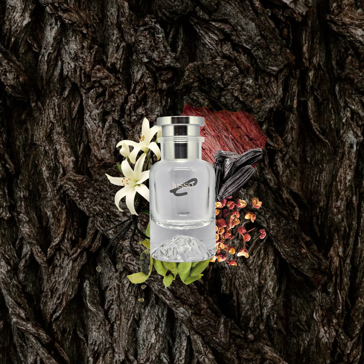 Obsessed With You Inspired By Tomford Oud Wood